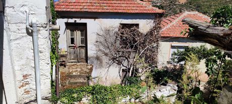 Μονοκατοικία 56τ.μ. για πώληση-Θάσος » Σωτήρας