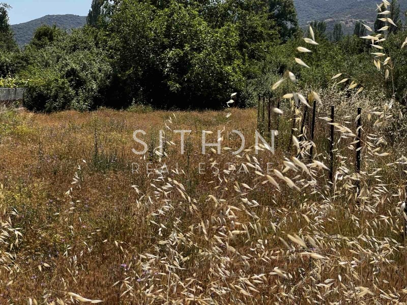 Αγροτεμάχια 507 τ.μ. προς πώληση, Συκιά Τορώνης