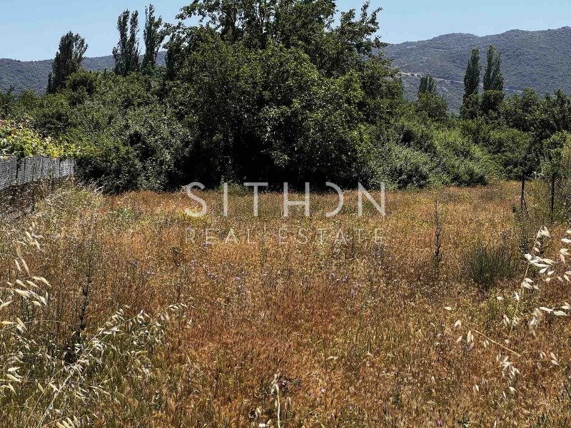 Αγροτεμάχια 507 τ.μ. προς πώληση, Συκιά Τορώνης