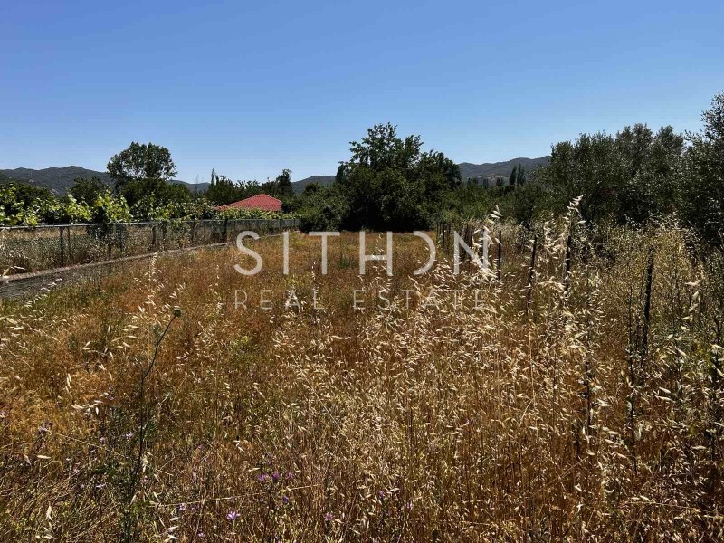 Αγροτεμάχια 507 τ.μ. προς πώληση, Συκιά Τορώνης