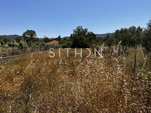 Αγροτεμάχια 507 τ.μ. για πώληση, Χαλκιδική, Τορώνη