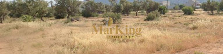 Land plot 243 sqm for sale, Athens - East, Paiania