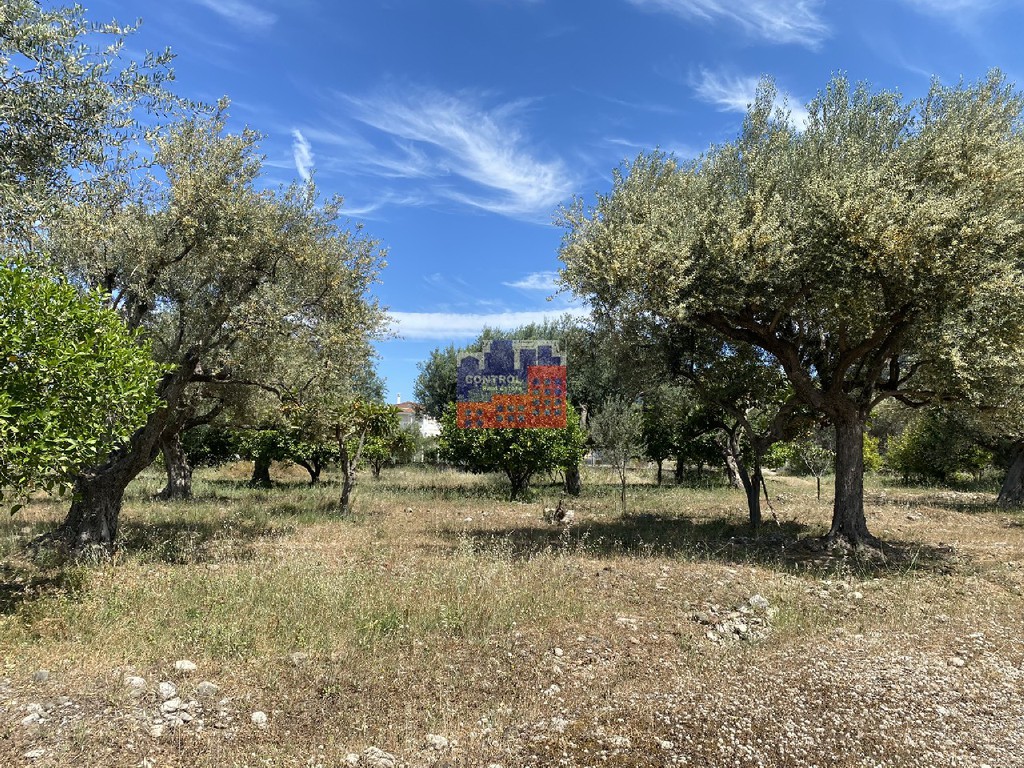 Οικόπεδο 1.724 τ.μ. για πώληση, Αχαΐα, Διακοπτό