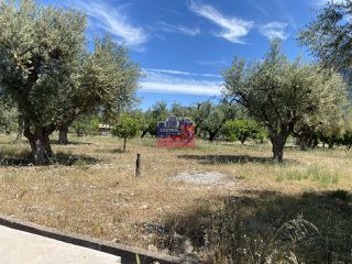 Οικόπεδο 1.724 τ.μ. για πώληση, Αχαΐα, Διακοπτό-thumb-1