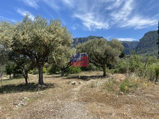 Οικόπεδο 1.724 τ.μ. για πώληση, Αχαΐα, Διακοπτό-thumb-2