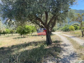 Οικόπεδο 1.724 τ.μ. για πώληση, Αχαΐα, Διακοπτό-thumb-4