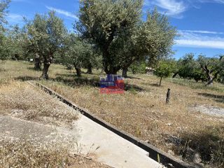 Οικόπεδο 1.724 τ.μ. για πώληση, Αχαΐα, Διακοπτό-thumb-5