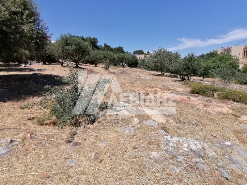 Οικόπεδο 1.018 τ.μ. για πώληση, Ν. Χίου, Χίος