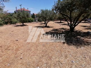 Οικόπεδο 1.018 τ.μ. για πώληση, Ν. Χίου, Χίος-thumb-4