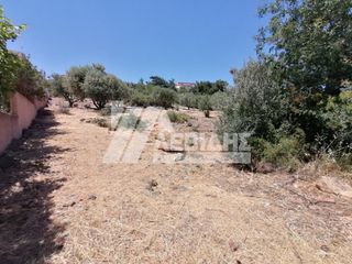 Οικόπεδο 1.018 τ.μ. για πώληση, Ν. Χίου, Χίος-thumb-2