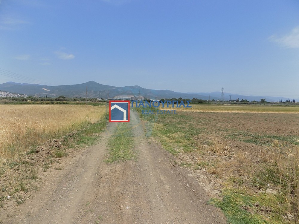 Αγροτεμάχια 8.364 τ.μ. προς πώληση, Φθιώτιδας, Λαμία