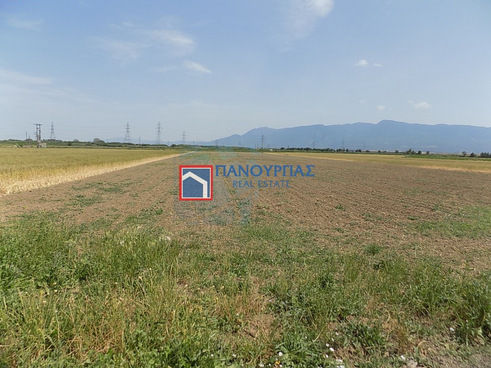 Αγροτεμάχια 8.364 τ.μ. προς πώληση, Φθιώτιδας, Λαμία