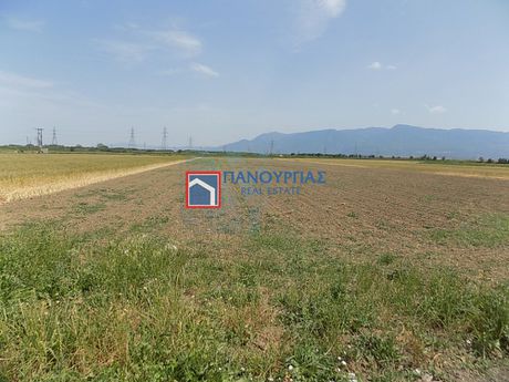 Αγροτεμάχια 8.364 τ.μ. για πώληση
