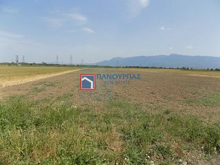 Αγροτεμάχια 8.364 τ.μ. για πώληση