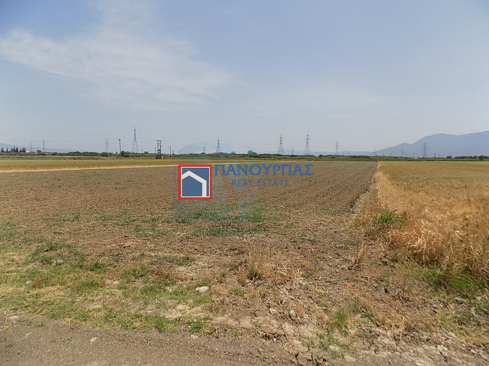 Αγροτεμάχια 8.364 τ.μ. προς πώληση, Φθιώτιδας, Λαμία