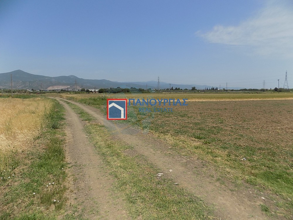 Αγροτεμάχια 8.364 τ.μ. προς πώληση, Φθιώτιδας, Λαμία