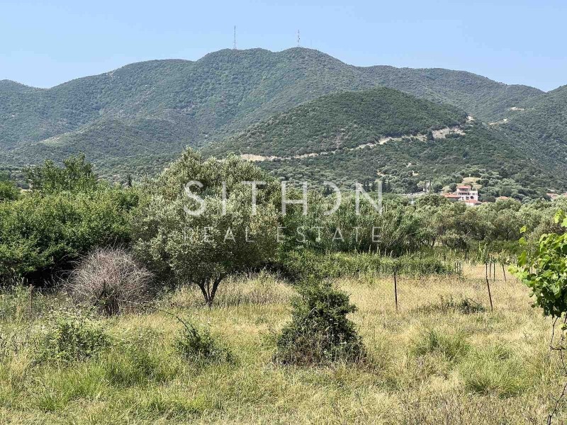 Αγροτεμάχια 3.434 τ.μ. προς πώληση, Συκιά Τορώνης