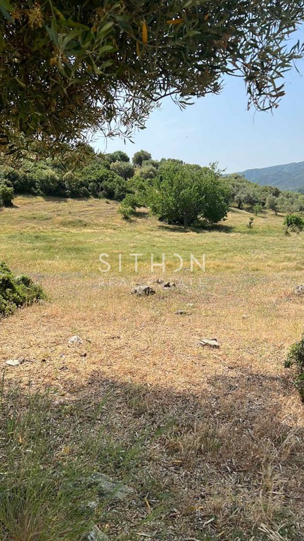Αγροτεμάχια 3.434 τ.μ. προς πώληση, Συκιά Τορώνης