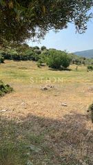 Αγροτεμάχια 3.434 τ.μ. για πώληση