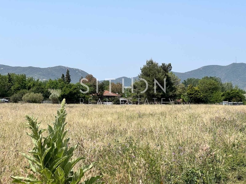 Αγροτεμάχια 1.558 τ.μ. προς πώληση, Συκιά Τορώνης