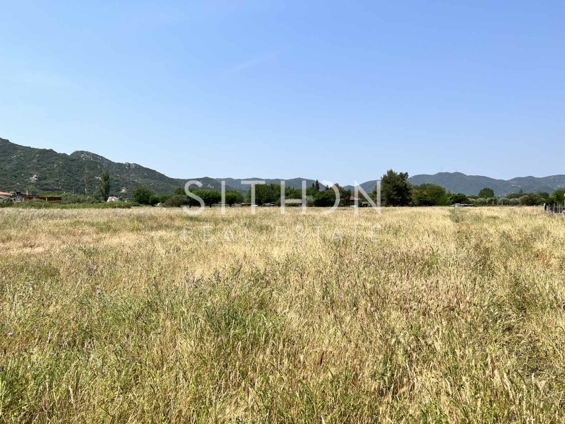 Αγροτεμάχια 1.558 τ.μ. προς πώληση, Συκιά Τορώνης