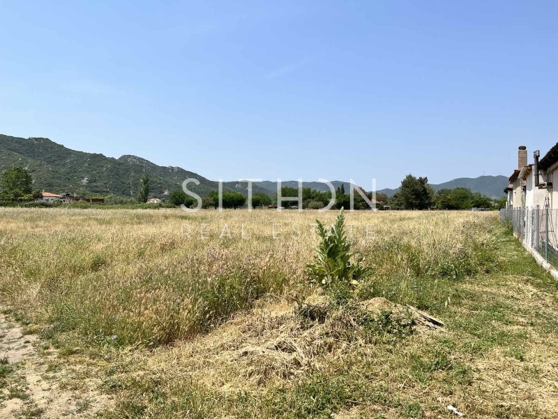 Αγροτεμάχια 1.558 τ.μ. προς πώληση, Συκιά Τορώνης