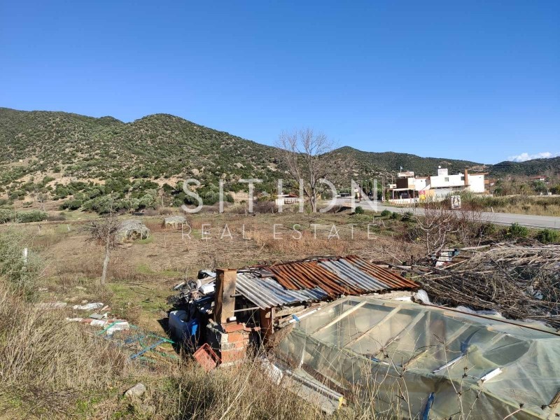 Αγροτεμάχια 6.400 τ.μ. προς πώληση, Συκιά Τορώνης