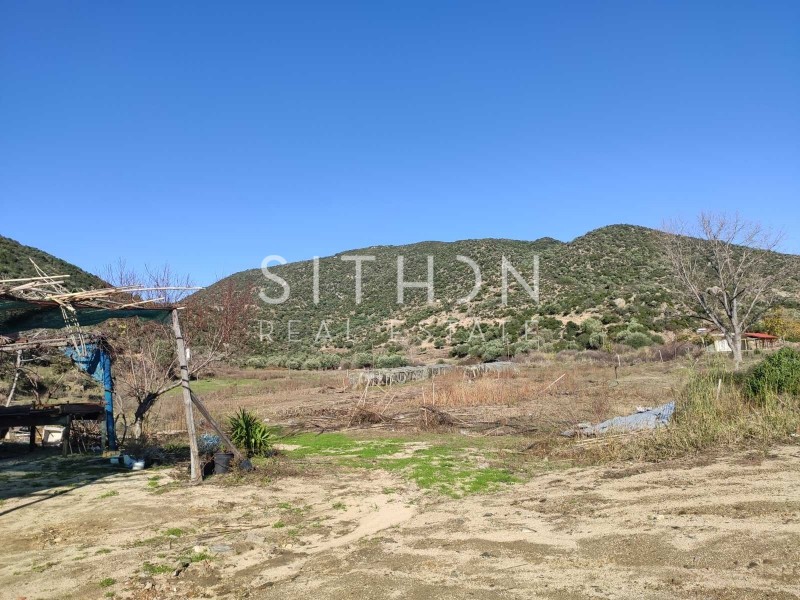 Αγροτεμάχια 6.400 τ.μ. προς πώληση, Συκιά Τορώνης