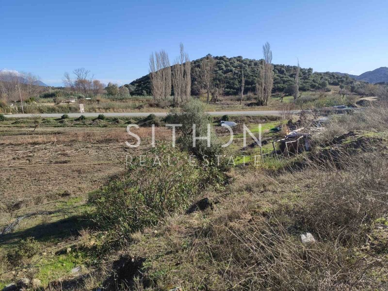 Αγροτεμάχια 6.400 τ.μ. προς πώληση, Συκιά Τορώνης