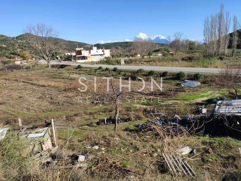 Αγροτεμάχια 6.400 τ.μ. προς πώληση, Συκιά Τορώνης