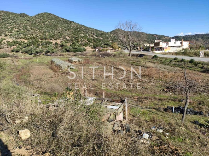 Αγροτεμάχια 6.400 τ.μ. προς πώληση, Συκιά Τορώνης