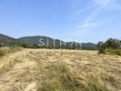 Parcel 5.140sqm for sale-Toroni » Sikia