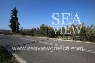 Αγροτεμάχια 2.252 τ.μ. για πώληση, Αργολίδα, Λέρνα-thumb-9