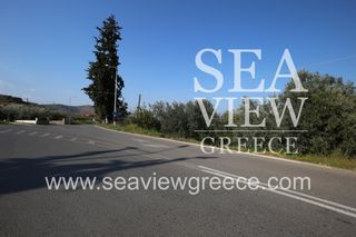 Αγροτεμάχια 2.252 τ.μ. για πώληση, Αργολίδα, Λέρνα-thumb-7