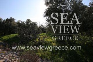 Αγροτεμάχια 2.252 τ.μ. για πώληση, Αργολίδα, Λέρνα-thumb-17