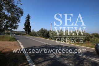 Αγροτεμάχια 2.252 τ.μ. για πώληση, Αργολίδα, Λέρνα-thumb-8