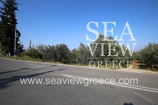 Αγροτεμάχια 2.252 τ.μ. για πώληση, Αργολίδα, Λέρνα-thumb-6