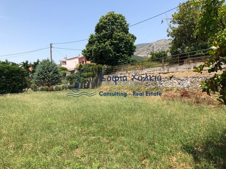 Οικόπεδο 763τ.μ. για πώληση-Ιωλκός » Άγιος ονούφριος