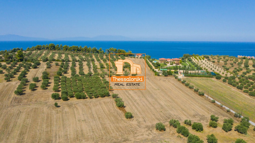Αγροτεμάχια 9.900 τ.μ. προς πώληση, Γλυφονέρι
