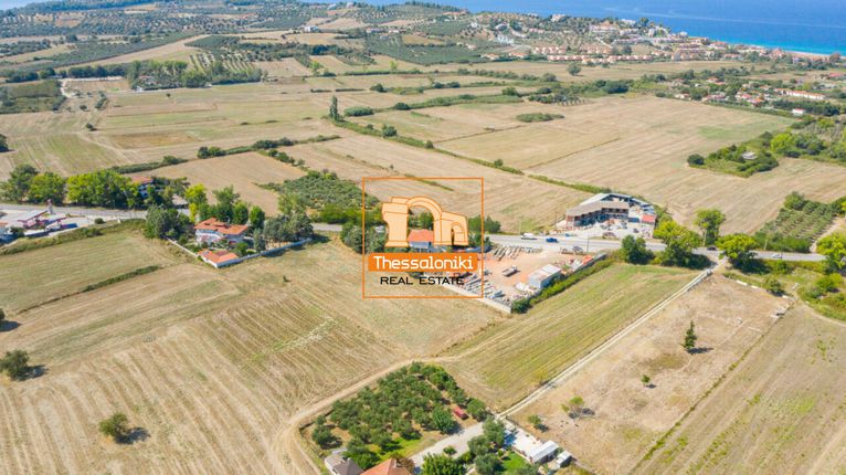 Αγροτεμάχια 5.129 τ.μ. για πώληση, Χαλκιδική, Κασσάνδρα