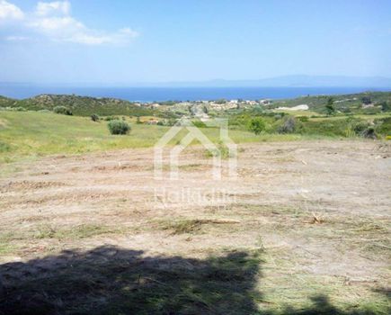 Αγροτεμάχια 11.200τ.μ. για πώληση-Κασσάνδρα » Κασσανδρηνό