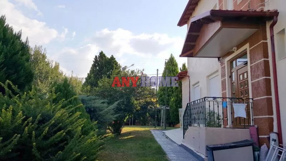 Επιχειρηματικό κτίριο 1.073 τ.μ. προς ενοικίαση, Ελαιώνες