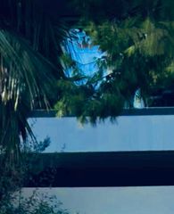 Μονοκατοικία 200 τ.μ. για ενοικίαση