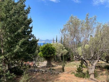 Αγροτεμάχια 5.044 τ.μ. για πώληση