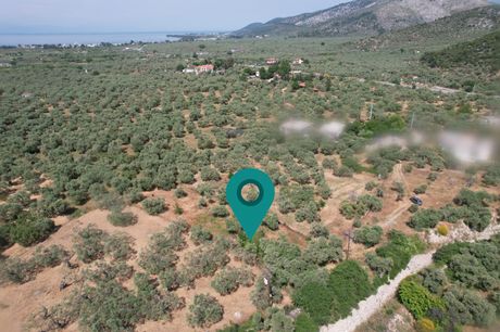 Land plot 1.008sqm for sale-Thasos » Ormos Prinou
