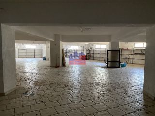 Κατάστημα 700 τ.μ. προς πώληση, Ροδοδάφνη Αιγιάλειας-thumb-9