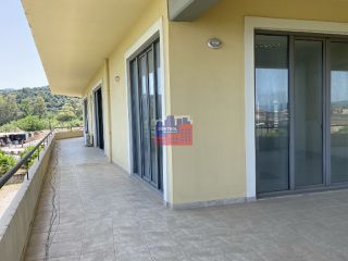 Κατάστημα 700 τ.μ. προς πώληση, Ροδοδάφνη Αιγιάλειας-thumb-15