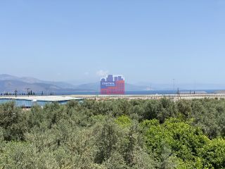 Κατάστημα 700 τ.μ. προς πώληση, Ροδοδάφνη Αιγιάλειας-thumb-17