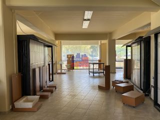 Κατάστημα 700 τ.μ. προς πώληση, Ροδοδάφνη Αιγιάλειας-thumb-19