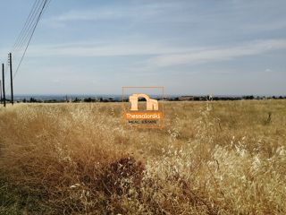 Αγροτεμάχια 19.000 τ.μ. για πώληση